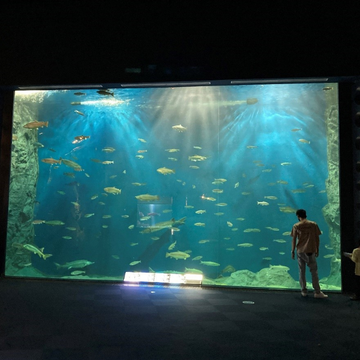 日本最大級の淡水魚水族館「サケのふるさと 千歳水族館